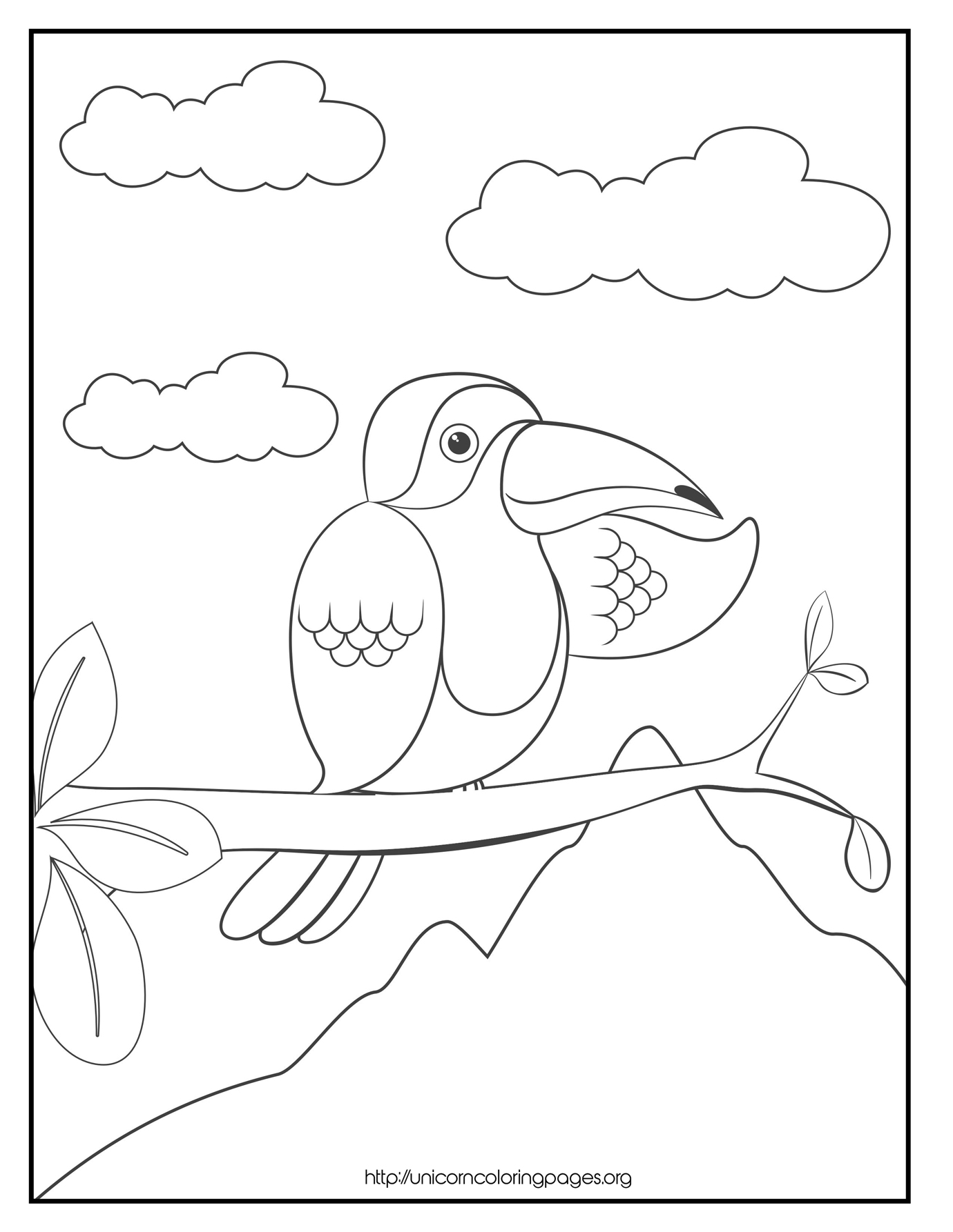 Animal Coloring Pages Bird